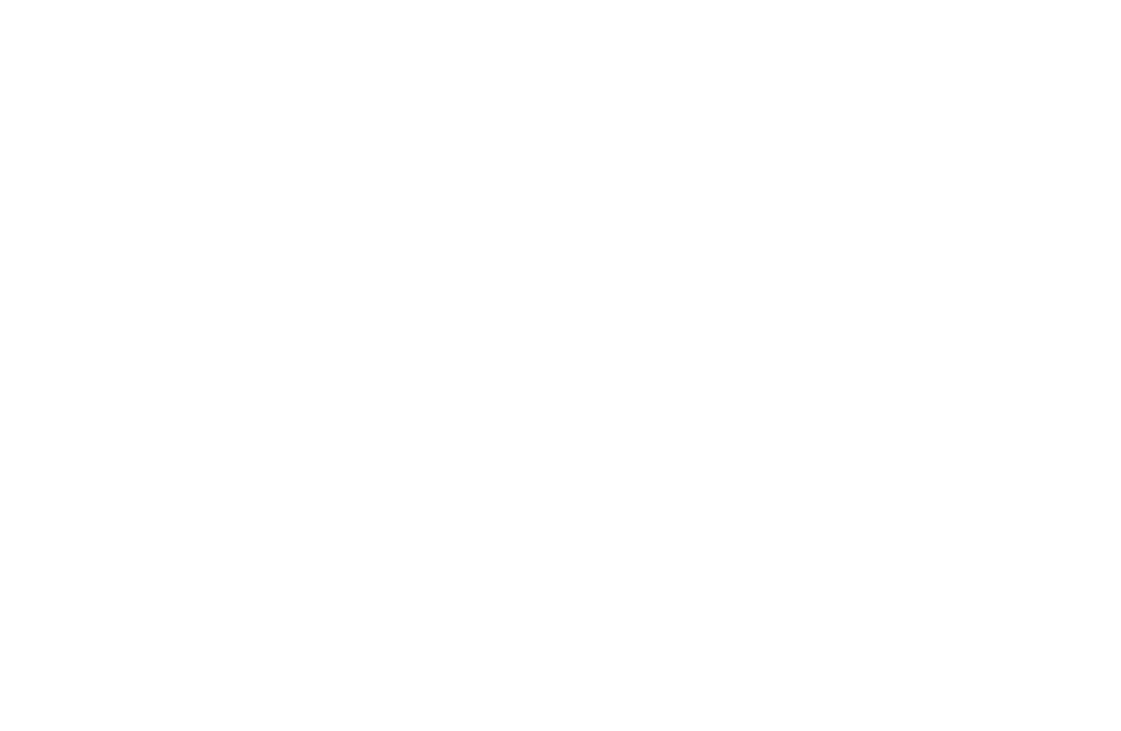 Association Culturelle et Éducative de Villeneuve d'Ascq
